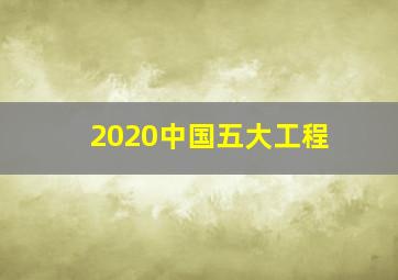 2020中国五大工程