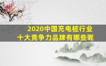 2020中国充电桩行业十大竞争力品牌有哪些呢