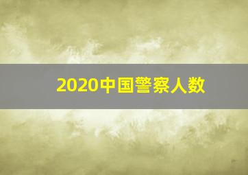 2020中国警察人数