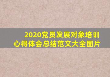 2020党员发展对象培训心得体会总结范文大全图片