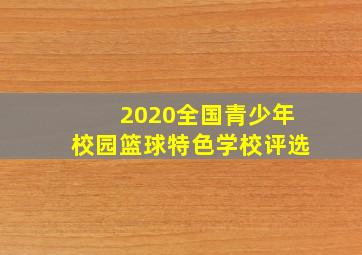 2020全国青少年校园篮球特色学校评选