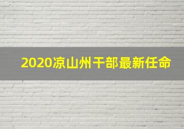 2020凉山州干部最新任命