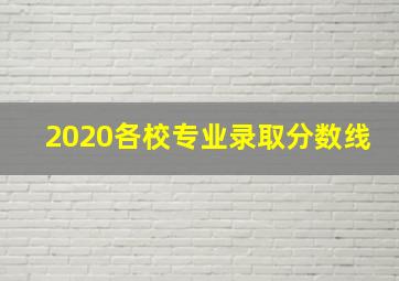 2020各校专业录取分数线