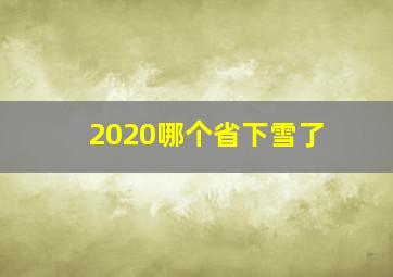 2020哪个省下雪了