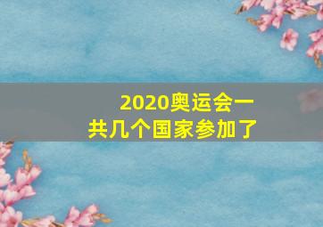 2020奥运会一共几个国家参加了