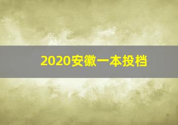 2020安徽一本投档