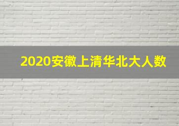 2020安徽上清华北大人数