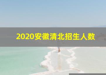 2020安徽清北招生人数