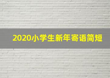 2020小学生新年寄语简短