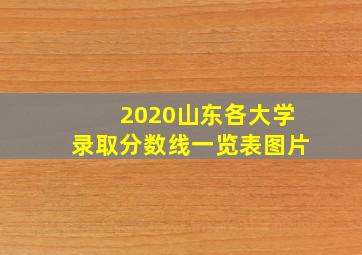 2020山东各大学录取分数线一览表图片