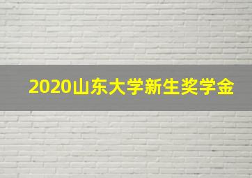 2020山东大学新生奖学金