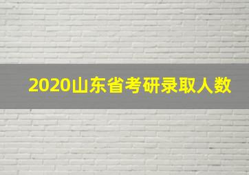 2020山东省考研录取人数