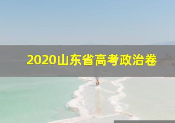 2020山东省高考政治卷