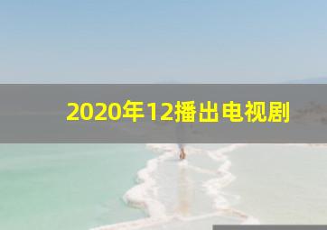 2020年12播出电视剧