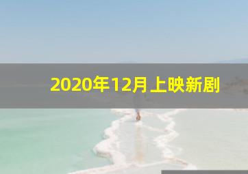 2020年12月上映新剧