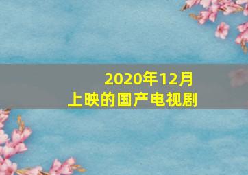 2020年12月上映的国产电视剧