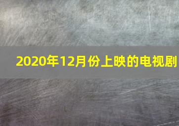 2020年12月份上映的电视剧