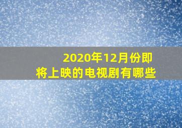 2020年12月份即将上映的电视剧有哪些