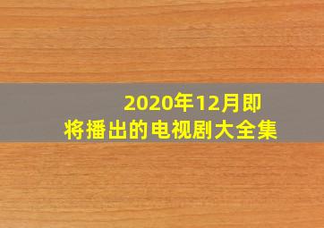 2020年12月即将播出的电视剧大全集