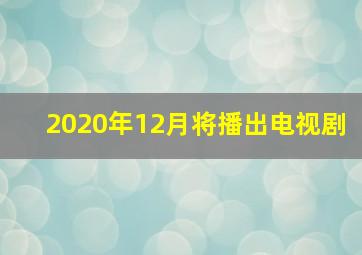 2020年12月将播出电视剧