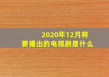 2020年12月将要播出的电视剧是什么