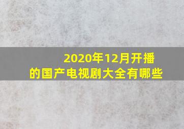 2020年12月开播的国产电视剧大全有哪些