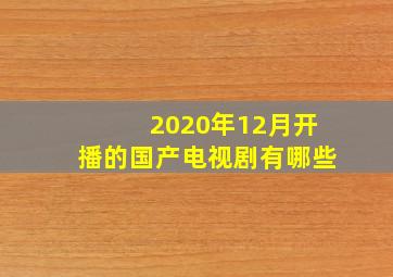 2020年12月开播的国产电视剧有哪些