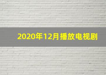 2020年12月播放电视剧