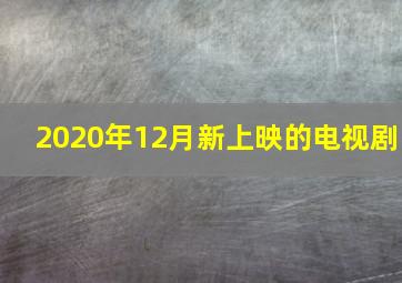 2020年12月新上映的电视剧