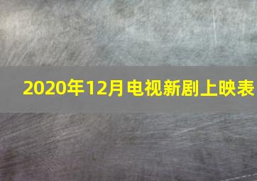 2020年12月电视新剧上映表