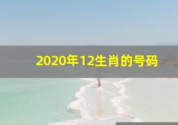 2020年12生肖的号码