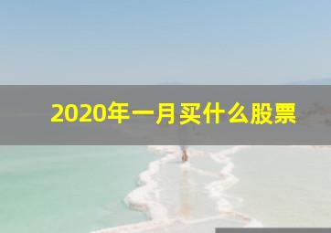 2020年一月买什么股票