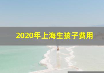 2020年上海生孩子费用