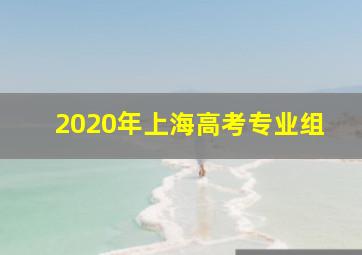 2020年上海高考专业组