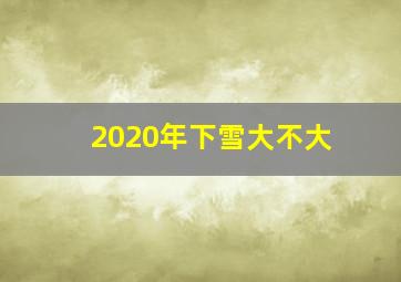 2020年下雪大不大