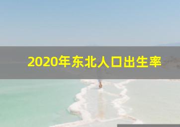 2020年东北人口出生率