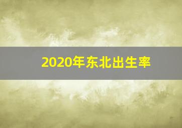 2020年东北出生率