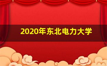 2020年东北电力大学