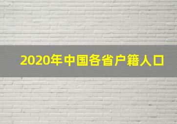 2020年中国各省户籍人口