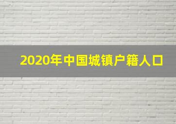 2020年中国城镇户籍人口