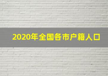 2020年全国各市户籍人口