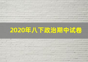 2020年八下政治期中试卷