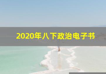 2020年八下政治电子书