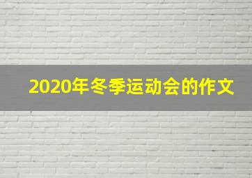 2020年冬季运动会的作文