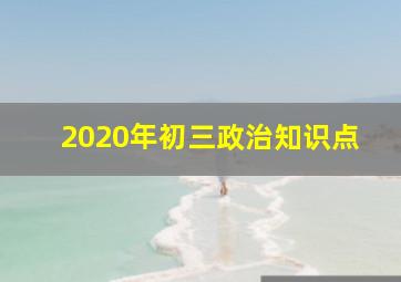 2020年初三政治知识点