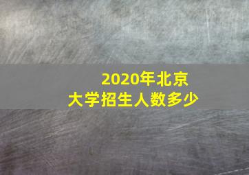 2020年北京大学招生人数多少