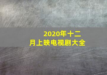 2020年十二月上映电视剧大全