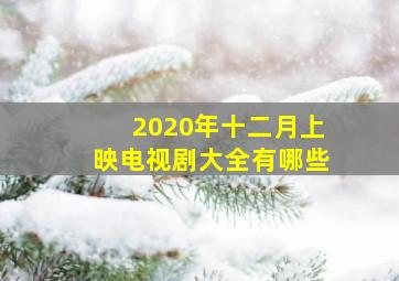 2020年十二月上映电视剧大全有哪些