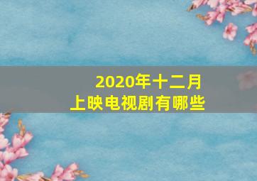 2020年十二月上映电视剧有哪些