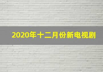 2020年十二月份新电视剧